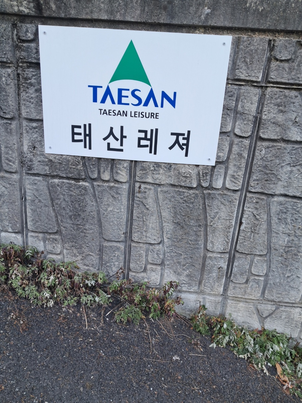 태산레져-25-1.jpg